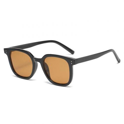 Brown Sunglasses