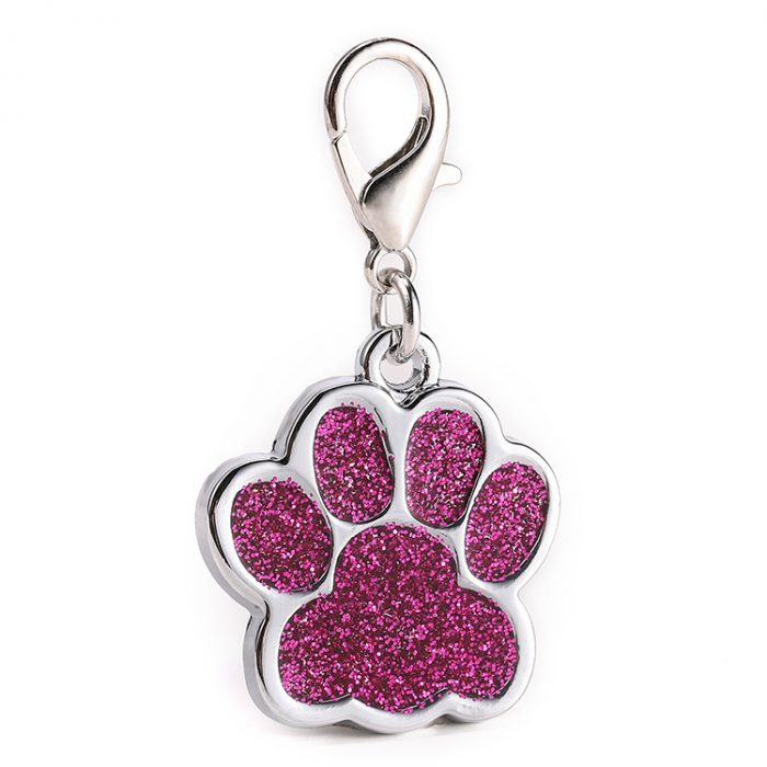 metal pet tag4