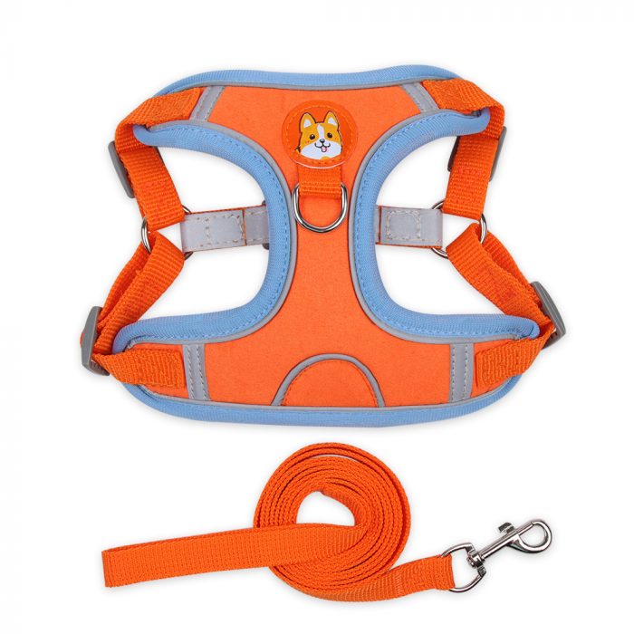 pet harness