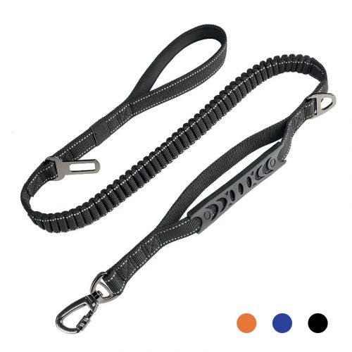 Pet leash